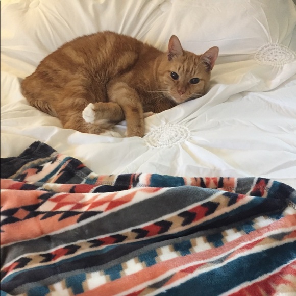 Meet your Posher, April - Picture 2 of 8